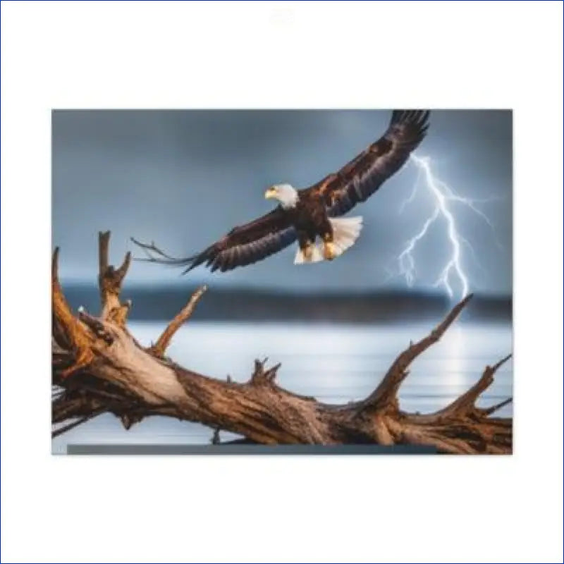 Bald eagle in flight with wings spread against a stormy sky.